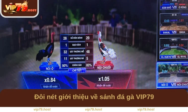 Đá Gà VIP79 1 Đôi nét giới thiệu về sảnh đá gà VIP79