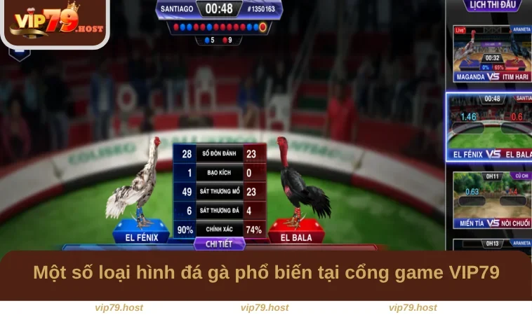 Đá Gà VIP79 2 Một số loại hình đá gà phổ biến tại cổng game VIP79