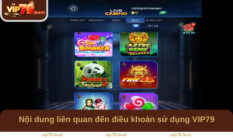 Điều Khoản Sử Dụng VIP79 2 Nội dung liên quan đến điều khoản sử dụng VIP79