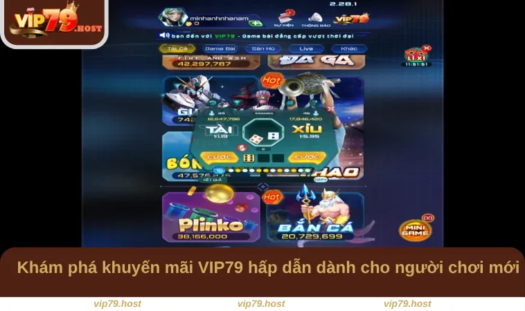 Khuyến Mãi VIP79 2 Khám phá khuyến mãi VIP79 hấp dẫn dành cho người chơi mới