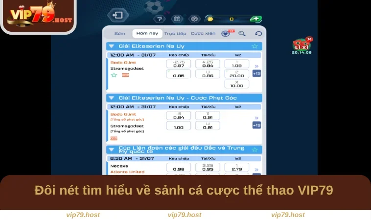 Thể Thao VIP79 1 Đôi nét tìm hiểu về sảnh cá cược thể thao VIP79